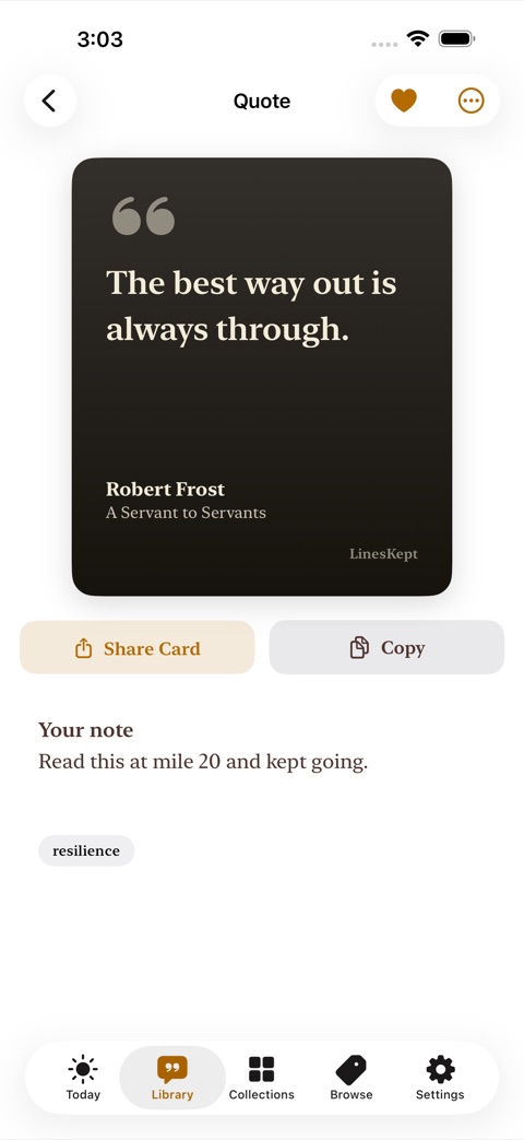LinesKept screenshot 2